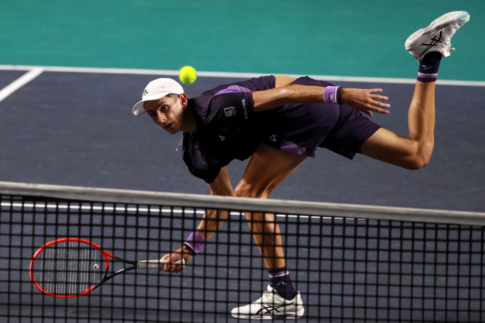 供了新的思 供了新的思