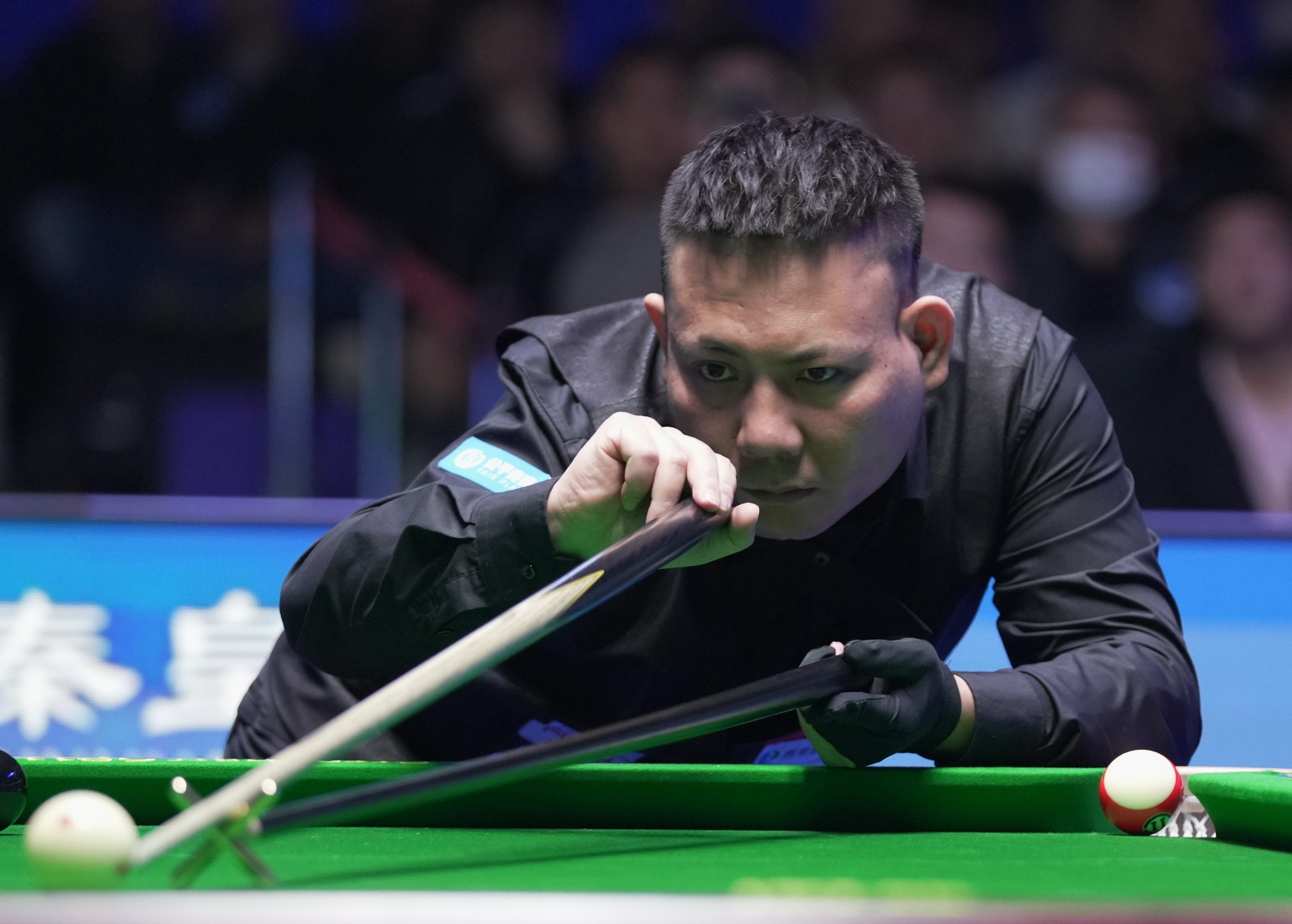 我可以帮你 我可以帮你