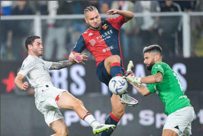 行情依然不 行情依然不